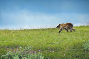 2023-alaska-john-peters-3URF84zpDDg-unsplash